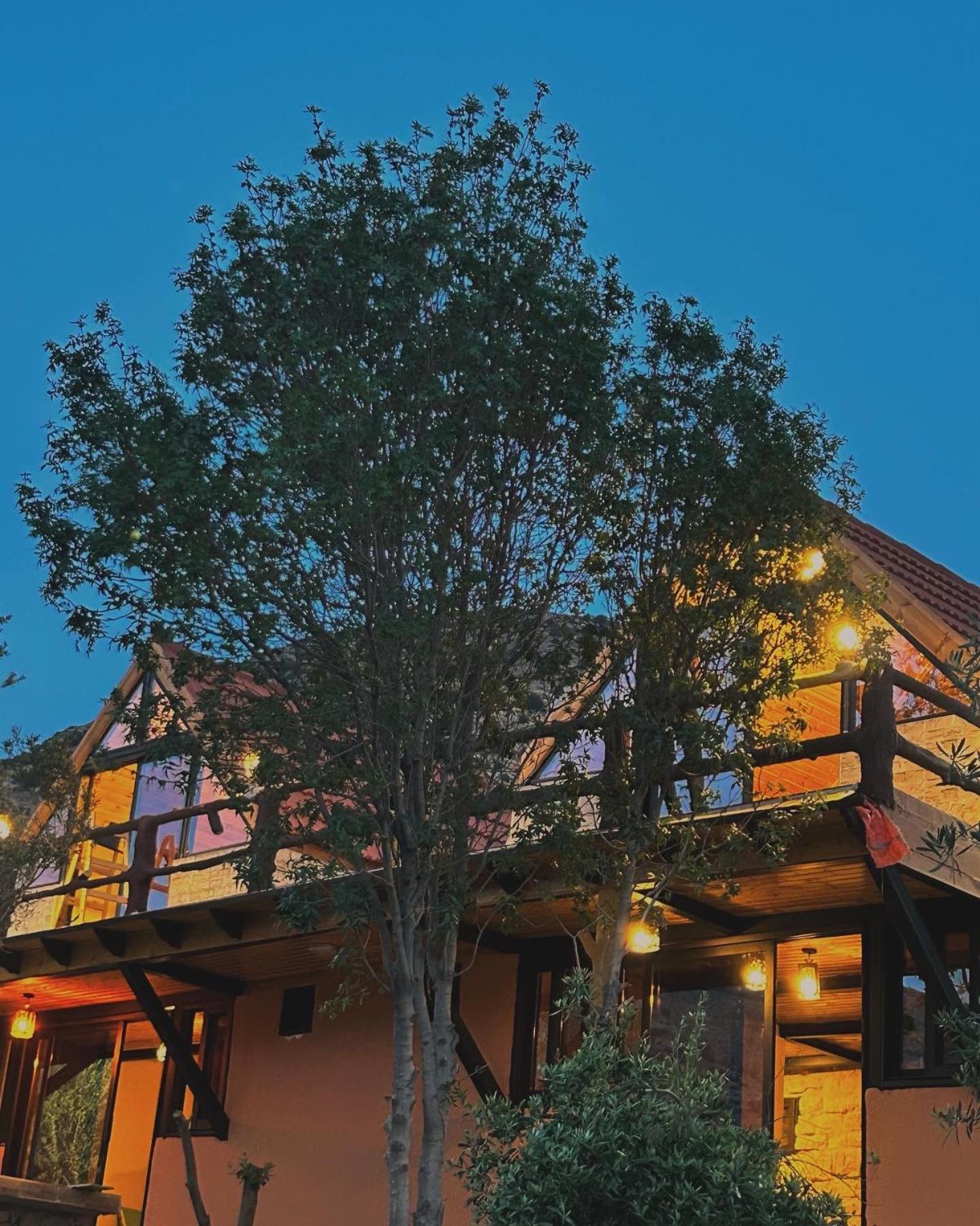 Отель Dana Luxury Huts Экстерьер фото