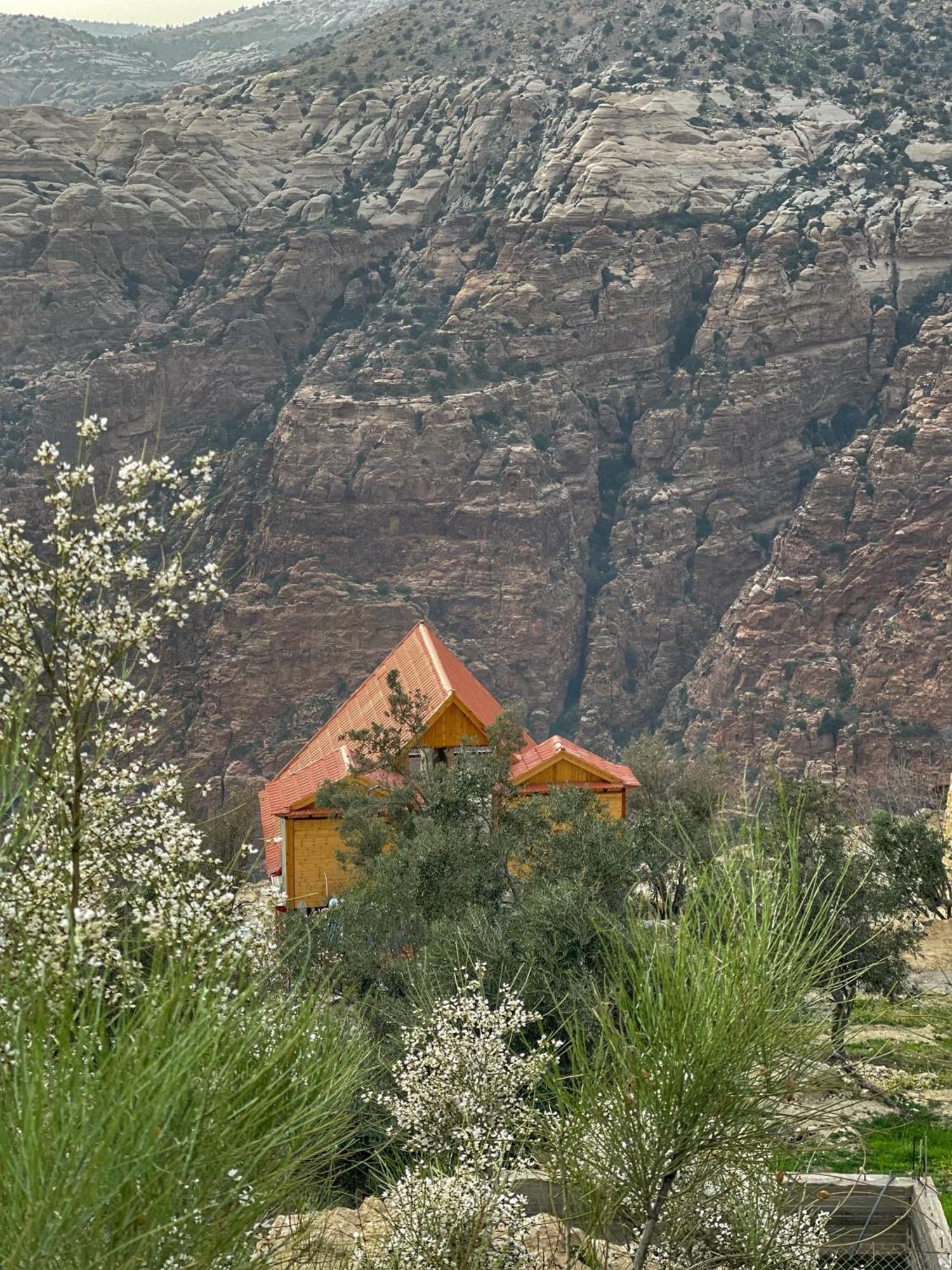 Отель Dana Luxury Huts Экстерьер фото