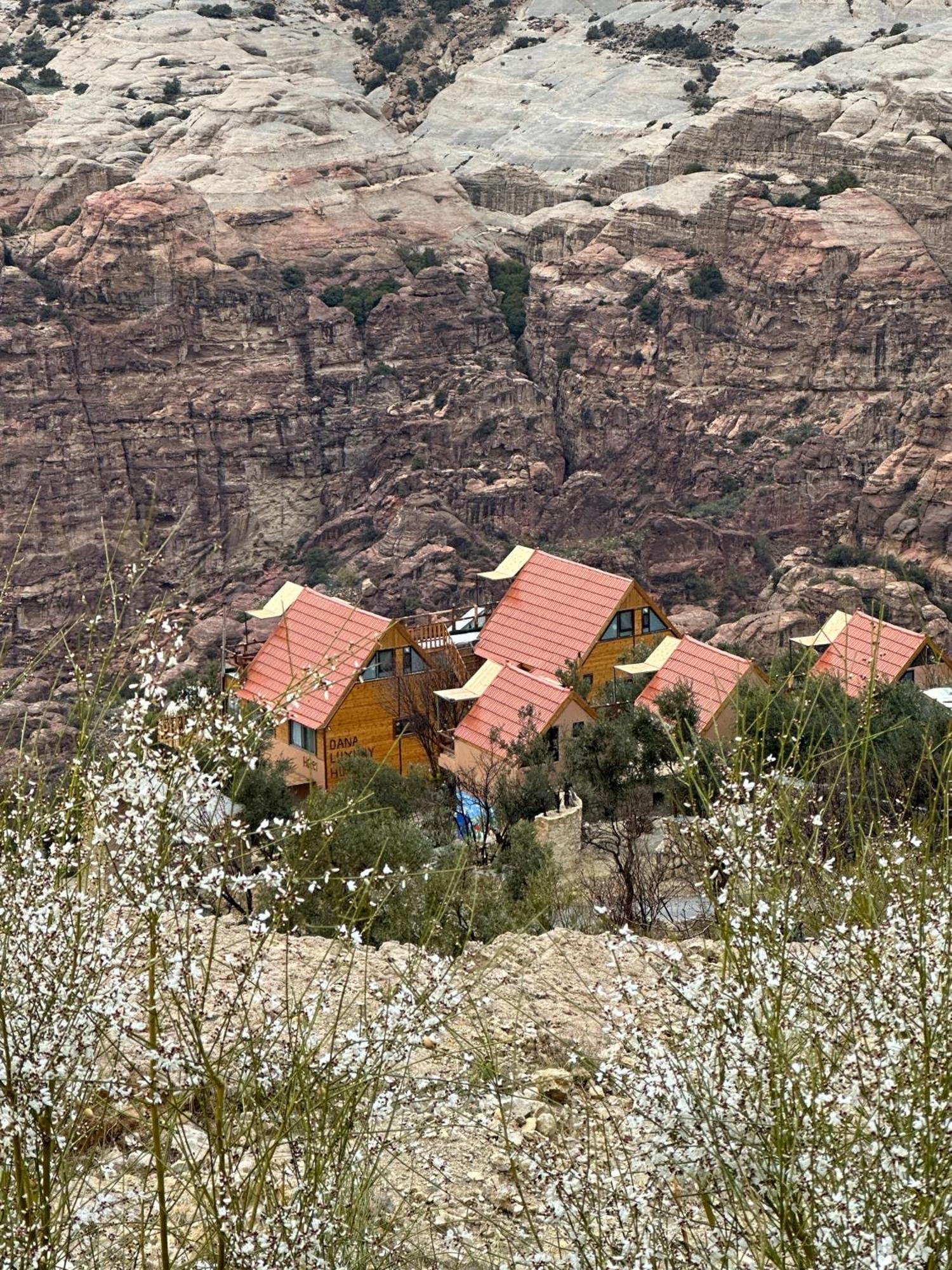 Отель Dana Luxury Huts Экстерьер фото
